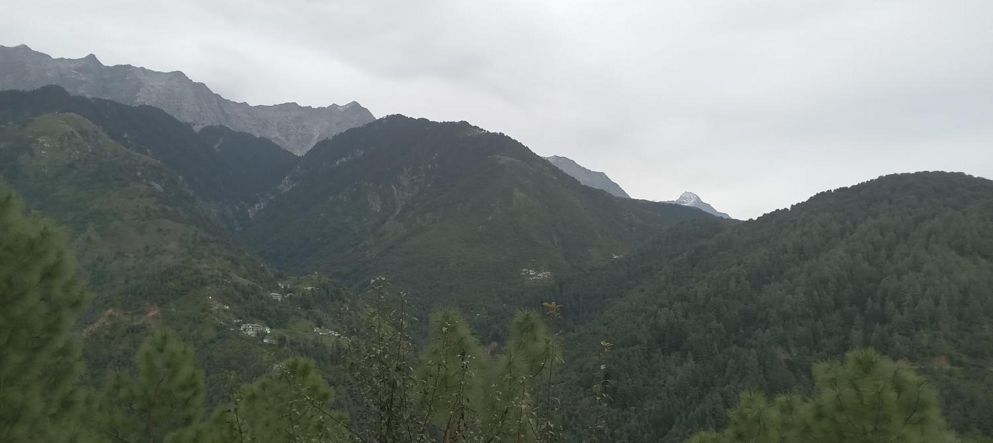 Moonlight Ridge Apartment McLeod Ganj Ngoại thất bức ảnh